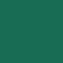 Colorama LL CO137 | Tło kartonowe, Spruce Green, zielone, 2.72 x 11 m Colorama - 2