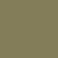 Colorama LL CO197 | Tło kartonowe, Leaf, zielone / oliwkowe, 2.72 x 11 m Colorama - 2