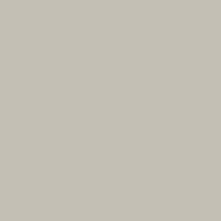 Colorama LL CO281 | Tło kartonowe, Platinum, szare, 2.72 x 25 m Colorama - 2
