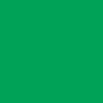 Colorama LL CO533 | Tło kartonowe, Chromagreen / Nettle, zielone, 1.35 x 11 m Colorama - 2