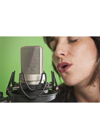 Rycote RYC044901 InVision USM | Uchwyt studyjny z koszykiem do mikrofonu 18-55mm Rycote - 6