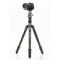 Benro Bat 24C+VX25 (FBAT24CVX25) | Statyw/monopod wideo BAT24C z głowicą kulową VX25, maks. wys. 177 cm, udźwig do 16 kg Benro -