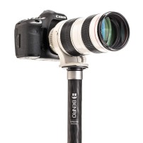 Benro MSD36C | Monopod, maks. wys. 165 cm, udźwig do 40 kg Benro - 3