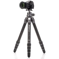 Benro Tortoise 24C+GX30 (TTOR24CGX30) | Statyw wideo TTOR24C z  głowicą kulową GX30, maks. wys. 129.5 cm, udźwig do 14 kg Benro 