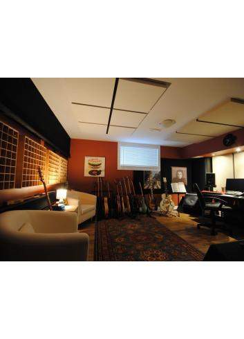 Primacoustic Radiator | Dyfuzor, ustrój akustyczny, 60 x 60 cm Primacoustic - 1