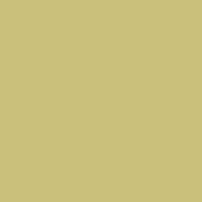Colorama LL CO512 | Tło kartonowe, Fern, żółte, 1.35 x 11 m Colorama - 2
