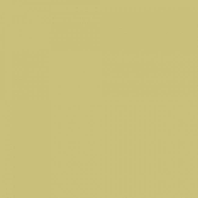 Colorama LL CO512 | Tło kartonowe, Fern, żółte, 1.35 x 11 m Colorama - 2